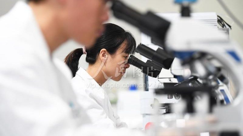Vero细胞培养基：揭秘其背后的科学奥秘与应用**