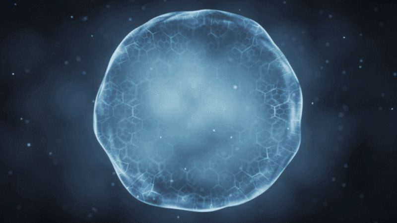 成都生物试剂标准品：精准科研的基石**