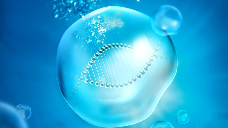 生物科技实验设备：价格之外，你还需要了解这些**