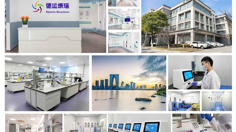 干细胞培养基的选择：揭秘其关键因素与误区
