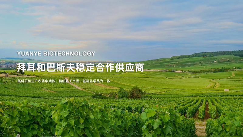 天津市朋发钢管有限公司