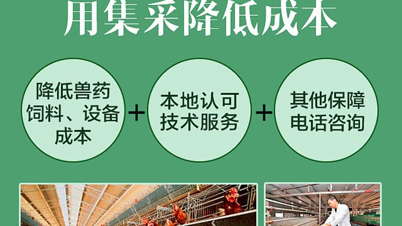 抗体人源化改造，周期到底要多久