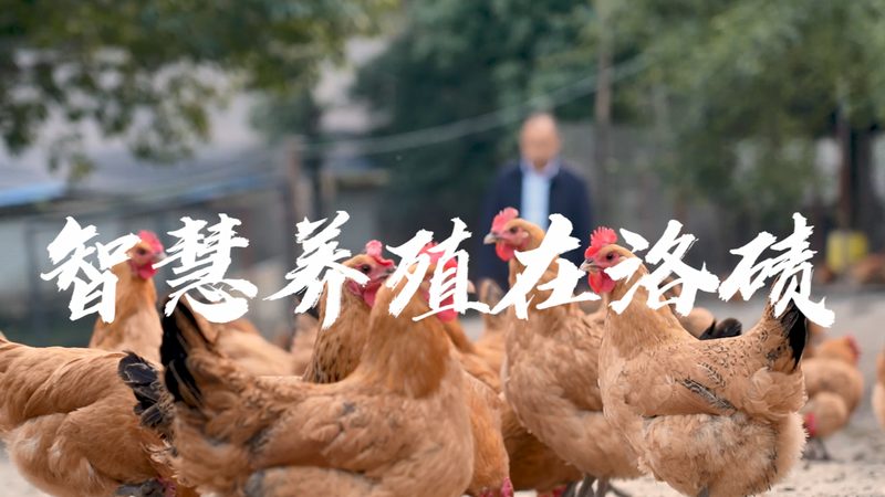 离心管品牌口碑背后的真相：如何挑选合适的实验室伴侣**