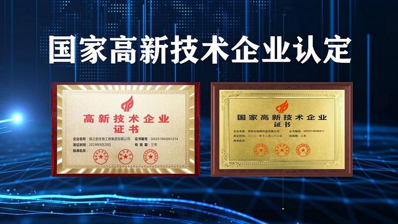 细胞培养代理解析，如何精准把握关键点？**