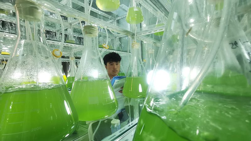 规格参数解码：生物科技产品背后的秘密**
